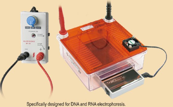不論是核酸電泳、蛋白質(zhì)電泳、印實驗等各種水平電泳或垂直電泳，梅潔電泳儀是您每天跑膠實驗的最好選擇